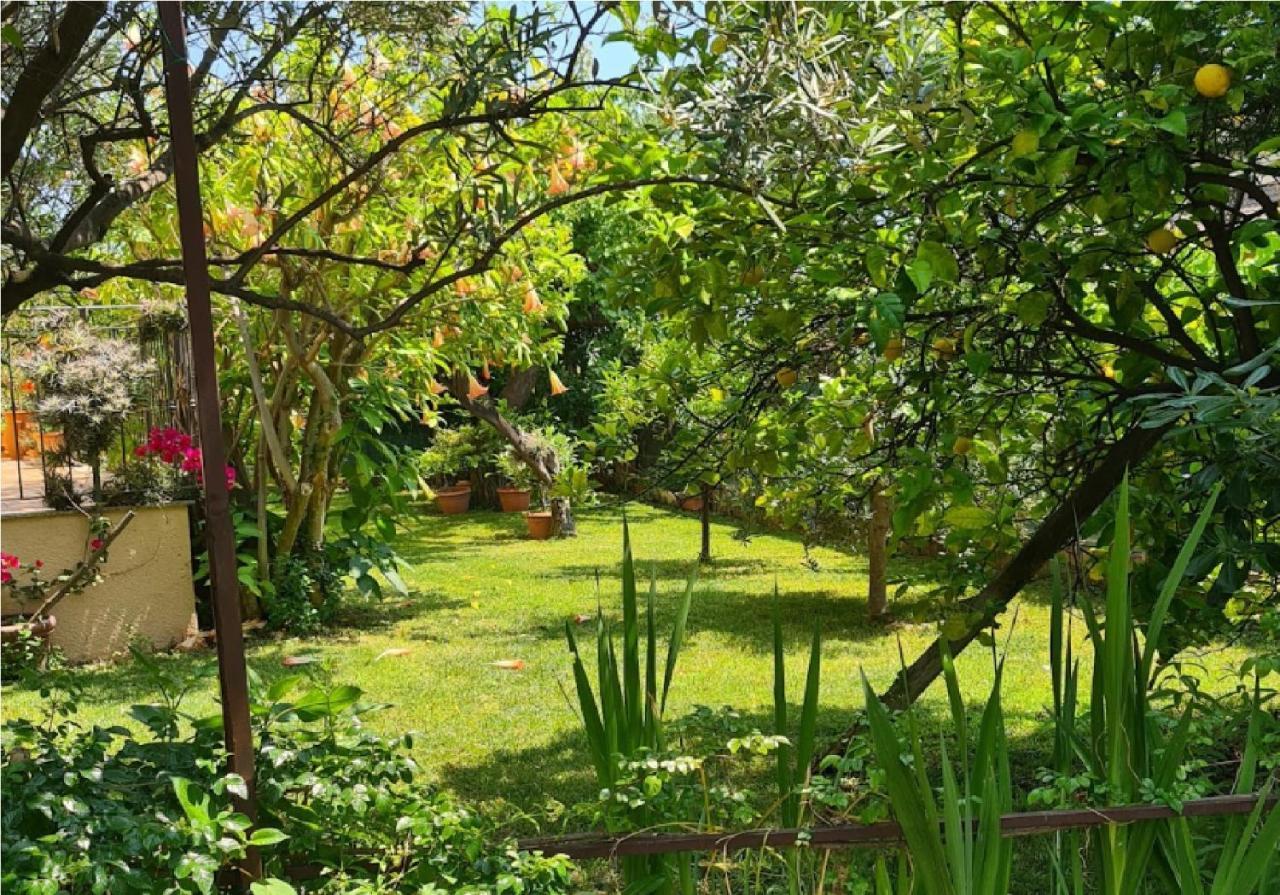 La Terrazza Sui Limoni: Nature Retreat with Beach and Adventure Access Cisano sul Neva Exterior photo